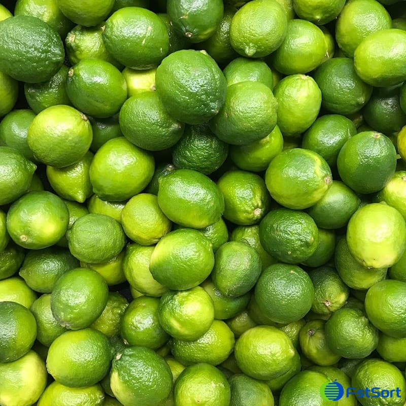 images/1696579367908línea de procesamiento de cal.jpg